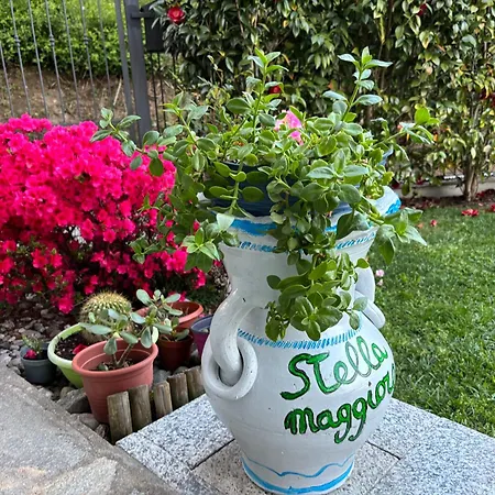 Stella Maggiore 3* ヴェルバーニア